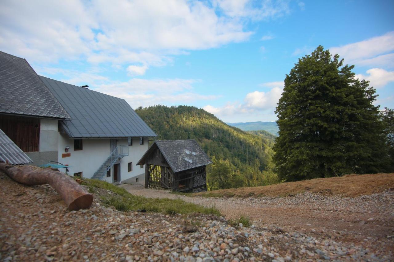 Apartma Gorski Razgled Srednja Vas v Bohinju Exterior foto